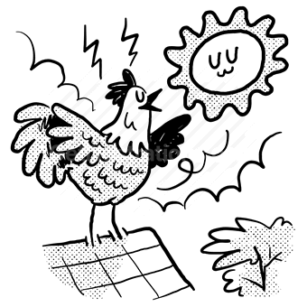 animal, chicken, rooster, bird, sun, cloud